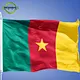 the national flag of cameroon